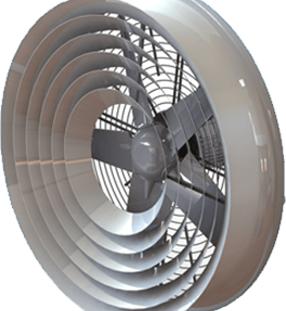 Batman Baca fan satışı