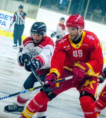 Hockey sur glace - Chamonix VS Sierre.