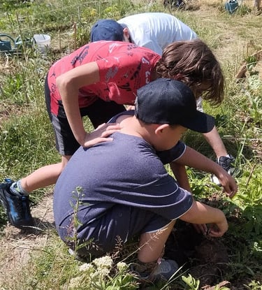 enfants jardin ecole du dehors