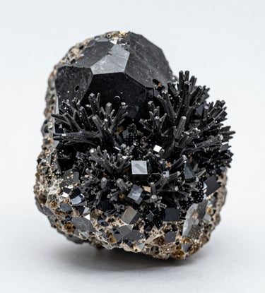 Bright living room with modern inventory