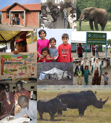 Proposal writing services