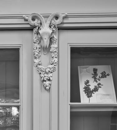 Tieranatomisches Theater Berlin