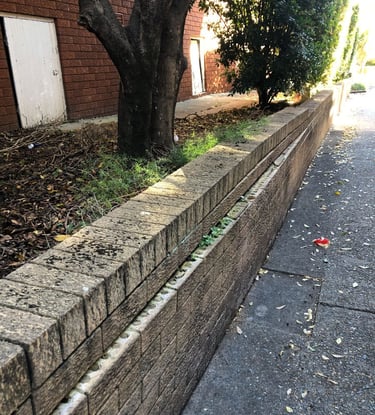 Image of a tree trunk and damaged brick boundary wall.