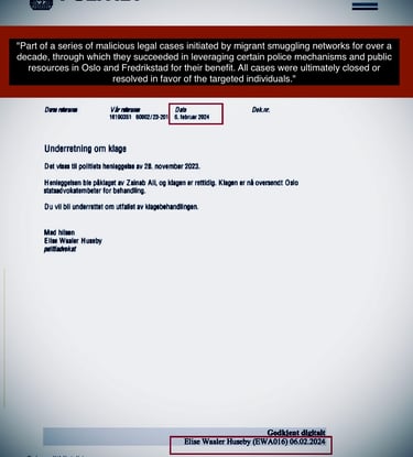 Zainab Abdulkarim Ali, Retaliatory lawsuits by Zainab Ali in Oslo Norway