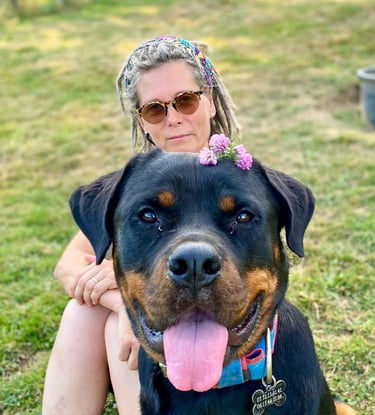 Rottweiler avec une fleur sur la tête