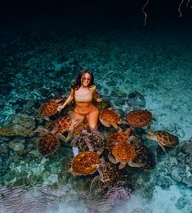 tourist enjoying an interactive tour with sea turtles at the Zanzibar Sea Turtle Aquarium, exploring marine life
