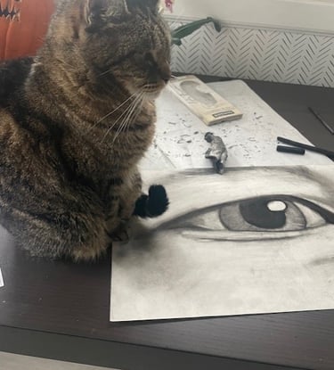 tabby cat and eyeball drawing in charcoal