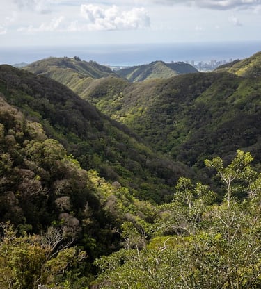 <wiliwilinui Ridge Trail O'ahu Hawai'i