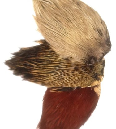 Demi cou de coq de pêche