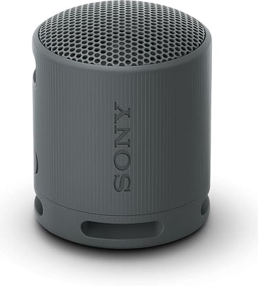 sony srs-xb100