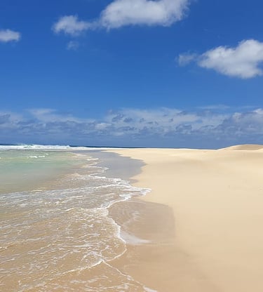 Orilla de la playa