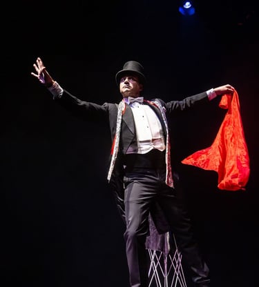 artis for hire , magician, face painter, bubble show, jugglers