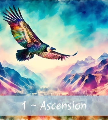Condor - Ascension