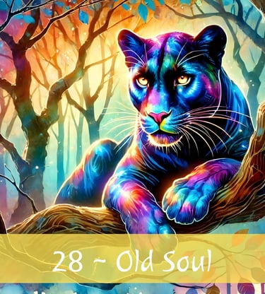 Pather - Old Soul
