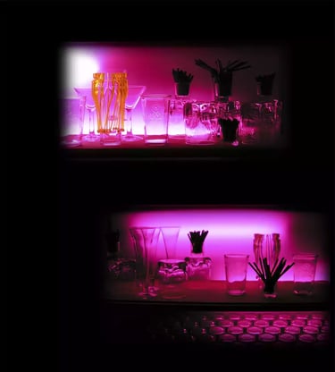 ARTEDDYSCAP Exposiciones Museum