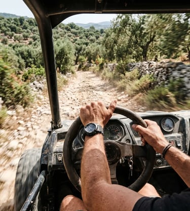 Hands gripping buggy steering wheel on dusty limestone track, olive trees in background, Puglia