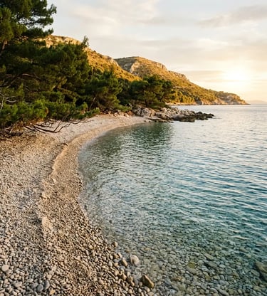 Empty pebble beach with pine trees and clear water on southern coast of Šolta island