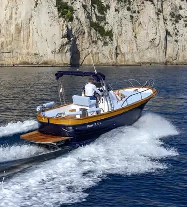 Private boat tour from La Spezia speeding past dramatic Mediterranean Sea cliffs
