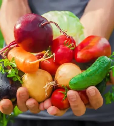 Freshly harvested organic vegetables held in hands at Acampora family farmhouse garden
