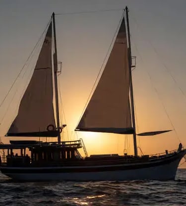 Gulet boat silhouette with raised sails against golden Adriatic sunset on open sea