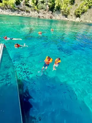Snorkelers swimming in transparent turquoise water at Blue Lagoon Drvenik Veli Croatia