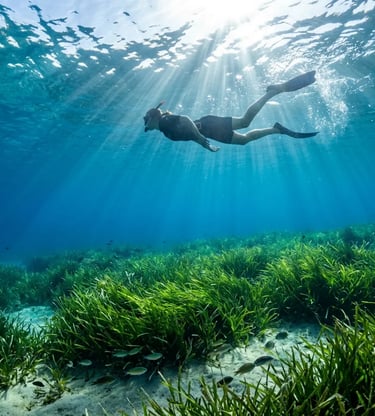 Snorkeling in crystal-clear waters above Posidonia seagrass near Capo Teulada Sardinia