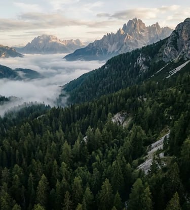 Aerial view of misty Dolomite valley with pine forest and jagged mountain peaks at dawn