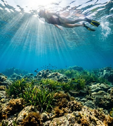 Snorkeler diving above posidonia seagrass in clear Adriatic water with sunrays, Puglia