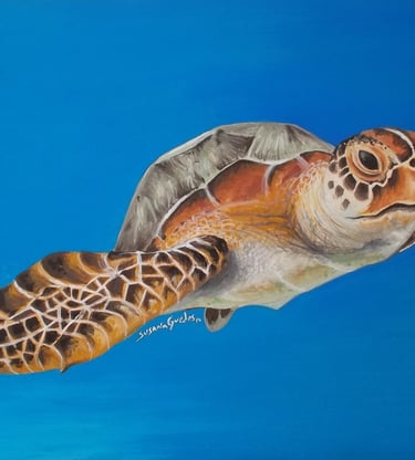 Tartaruga em acrílico