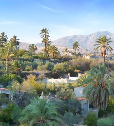 Typical landscape of the Abanilla area.