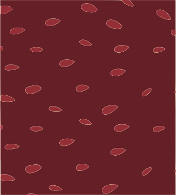 Pattern Jideria