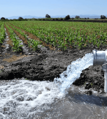 agricultura
