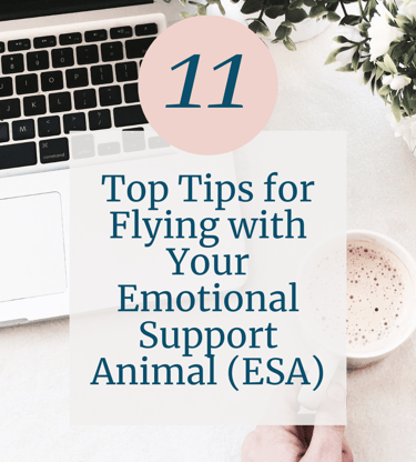Tips for flying with emotional support animal