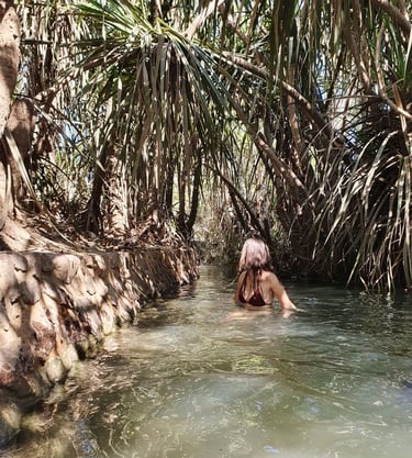 Hot Springs de Katherine