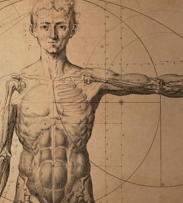 sarıyer anatomi dersi