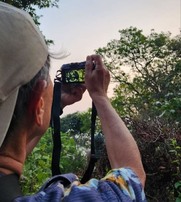 A customer is taking picture of the langur on Son Tra, Da Nang.