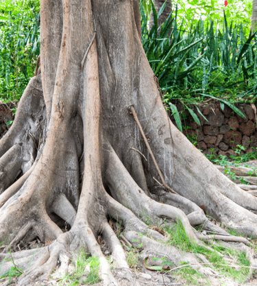 grounding-techniques-what-is-grounding-inner-energy-harmony