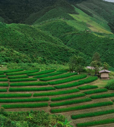 15 จุดเช็คอินถ่ายรูปน่าน ปี 2026 สวยสะกดตา พร้อมบริการช่างภาพมืออาชีพ
