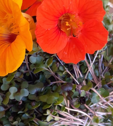 a bowl of edible flowers and microgreens