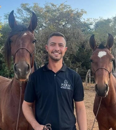 Atendimento veterinário estratégico para haras e criadores de cavalos