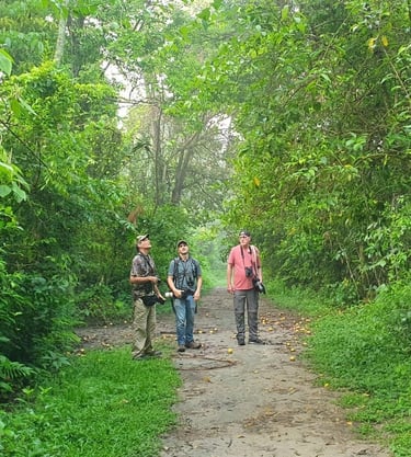 bridwatchers looking at birds
