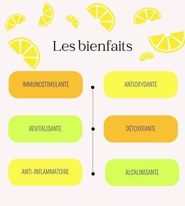 illustration des bienfaits de la boisson citron gingembre