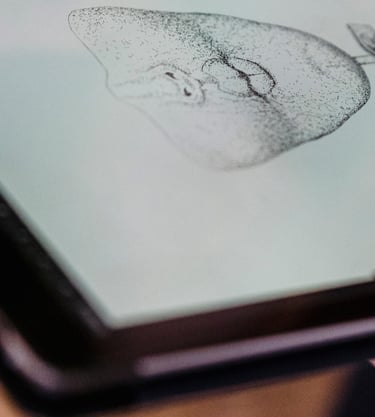 sarıyer dijital çizim dersi