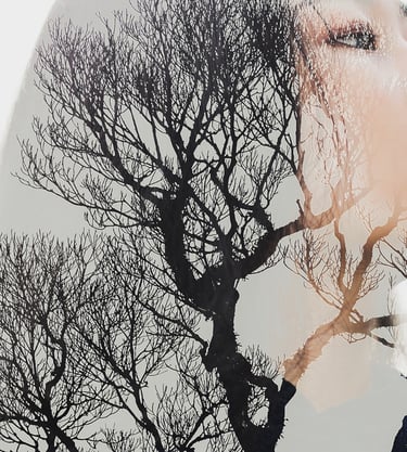 sarıyer holografik sanat