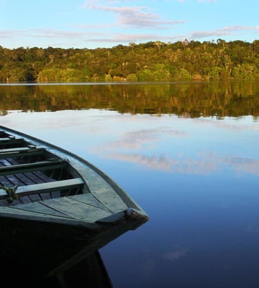 Parque Nacional do Jaú, Brasil