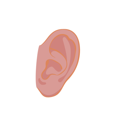 Oreille, écoute