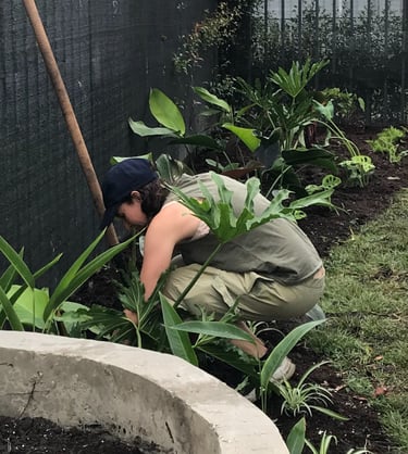 siembra de jardines
