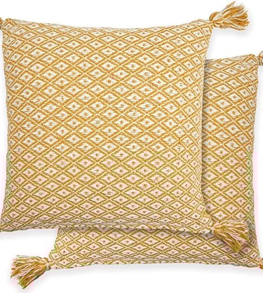 a pair of pillows with tassels and tassels