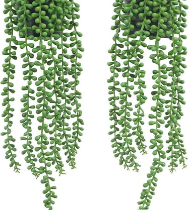 a pair of green plants hanging from a planter