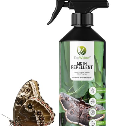 a butterfly butterfly butterfly moth spray bottle with a butterfly